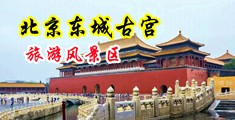 麻酥酥呦奶牛中国北京-东城古宫旅游风景区